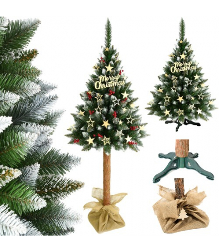 Choinka na pniu sosna diamentowa 180cm Ruhhy 00011988