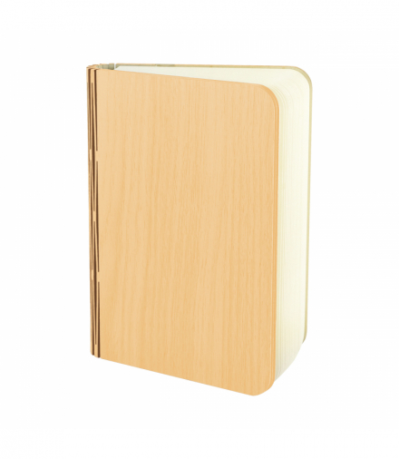 Lampka stołowa SMD LED ALBUM LED 1,6W PINE WW CW sosna Struhm 04633