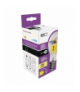 Żarówka LED Filament A60 E27 11W (100W) 1521 lm ciepła biel ściemnialna EMOS ZF5164D