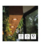 Żarówka LED Classic MR16 srebro GU10 3 W (32 W) 345 lm zimna biel EMOS ZQ8E19