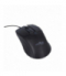 Maxlife Home Office mysz optyczna MXHM-01 1000 DPI 1,2 m czarna TFO OEM0002317