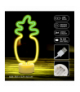 Neon na podstawce LED ANANAS pomarańczowo zielony USB-C FSC-12 Forever Light RTV200098