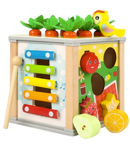 Kostka edukacyjna drewniana- sorter Kruzzel 22566 00022566