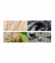 Mikroskop cyfrowy USB 1600x IZOXIS 23762 00023762