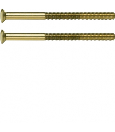 Berker TS Śruba z dwoma otworami M3,5 x 50 mm, złoty Berker 189512