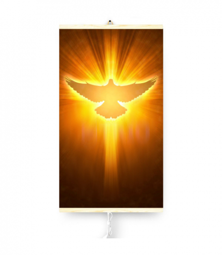 Grzejnik na podczerwień giętki panel grzewczy 430W TRIO wzór 12 gołąb, wymiary 100x57cm z regulatorem TRIO CEN-70158
