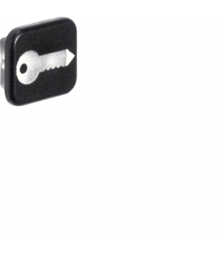 W.1 Soczewka z nadrukiem symbolu "klucz" (10szt.) Berker 18223503