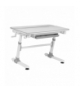 Biurko dla dzieci ergonomiczne z regulacją wysokości Ergo Office, szare, max 100kg, ER-417 2cz Ergo Office CEN-70223