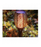 Lampa ogrodowa solarna, pochodnia 23559 GARDLOV 00023559