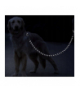 Smycz treningowa odblaskowa 5m Purlov 21655 00021655