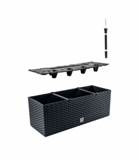 Doniczka z wkładem Rato Case DRTC500 antracyt Prosperplast CEN-61416