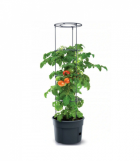 Doniczka do pomidorów Tomato Grower IPOM300 Prosperplast CEN-72582
