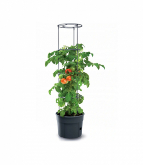 Doniczka do pomidorów Tomato Grower IPOM400 Prosperplast CEN-72583