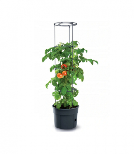 Doniczka do pomidorów Tomato Grower IPOM400 Prosperplast CEN-72583