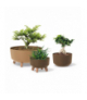 Doniczka Gracia Standard Eco Wood DGRL400W naturo eco Prosperplast CEN-77515
