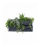 Ogród Wertykalny Cascade Garden Wall Prosperplast CEN-78053