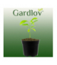 Doniczka produkcyjna zestaw 10 szt. GARDLOV 00022244