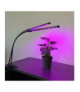 Lampa 20 LED 2szt. do wzrostu roślin Gardlov 19241 GARDLOV 00019241