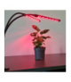 Lampa 20 LED 2szt. do wzrostu roślin Gardlov 19241 GARDLOV 00019241