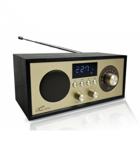 Radio przenośne Brda FM/BT/USB akum.2200mAh,10W,ładowanie indukcyjne telefonu,czarno-złote LTC LXLTC511C