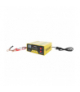 Prostownik do akumulatora 12V/24V XTROBB 00011257
