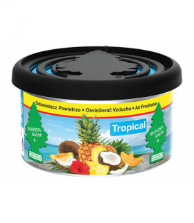 Wb fiber can black tropical 30g odświeżacz powietrza w puszcze Blow 52-218