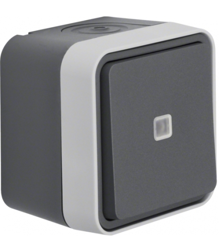 W.1 Łącznik uniwersalny z podświetleniem kontrolnym, kompletny, IP55, szary Berker 31763505