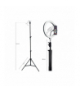 Lampa pierścieniowa (tiktok, youtube) TRACER RING 30cm ze statywem 210cm TRACER TRAOSW46745