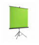 Zielony ekran na statywie Maclean, green screen 92", 150x180cm, regulowana wysokość, MC-931 Maclean CEN-74691