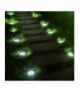 Solarna lampa najazdowa ogrodowa LED Maclean IP44, 12 LED SMD, 4000K, Ni-MH 600 mAh, 0,7W, MCE318 Maclean CEN-80121