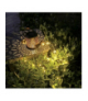 Lampa ogrodowa solarna, konewka Gardlov 23846 00023846