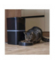 GoSmart Karmidło z kamerą PET CARE, 6 l, czarne, Wi-Fi EMOS H6006