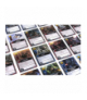 Gra Star Wars Deckbuilding game (pl) Rebel PL-SWG01
