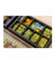 Gra Ark Nova (wersja polska) Portal Games 85236