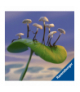 Gra Mycelia Ravensburger Polska 22898