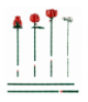 Klocki Icons Bukiet róż LEGO 10328