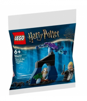 Klocki Harry Potter Draco w zakazanym lesie LEGO 30677