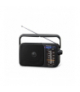 Radio przenośne FM/AM AFC Panasonic RF-2400DEG-K