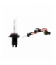 Żarówka ksenonowa żarnik HID xenon HB4 9006 6000K AMiO 01993
