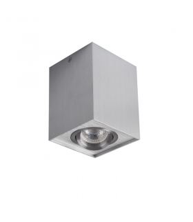 GORD DLP 50-AL Sufitowa oprawa punktowa Kanlux 25472