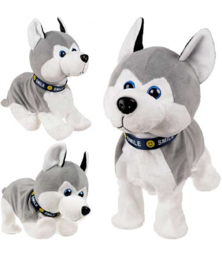 Piesek interaktywny PI4477 Iso Trade 4477