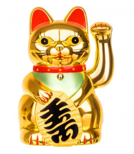 Kot chiński złoty Ruhhy 11820