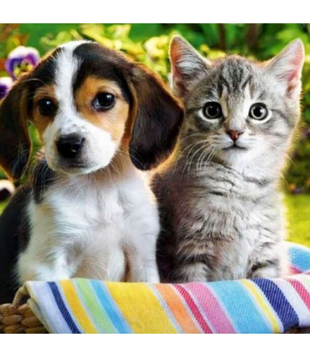 Haft diamentowy mozaika H16215 Malatec 15178