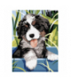 Malowanie po numerach 40x30cm pies Maaleo 22780 17062