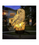 Lampa ogrodowa solarna sowa Gardlov 23847 17732
