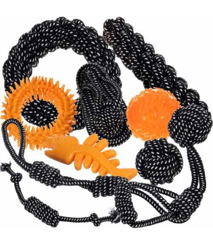 Zestaw zabawek dla psa 10 szt. Purlov 24388 17879