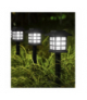 Lampka solarna ogrodowa Gardlov 25421 18080