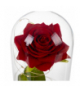 Róża w szkle świecąca Ruhhy 25682 18183