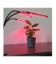 Lampa 20 LED 3szt. do wzrostu roślin Gardlov 19242 16033