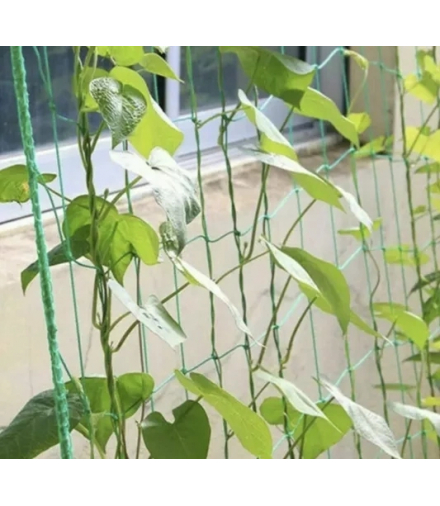 Siatka podpora do roślin 2x20m Gardlov 23980 17661